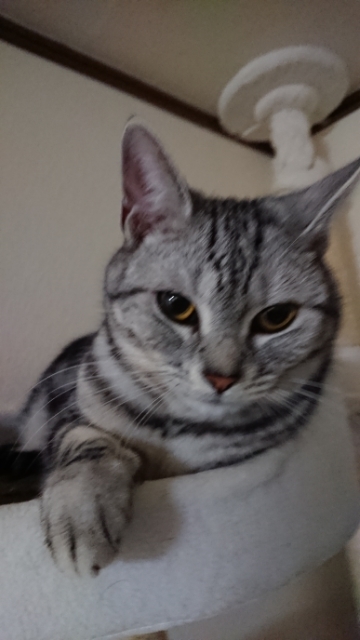 20180318085251492.jpg