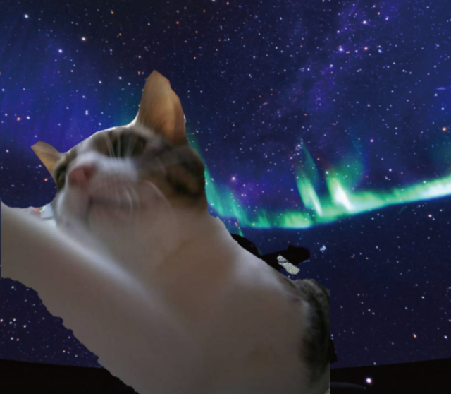 20180808201048619.png