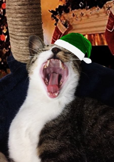 20181224182749617.jpg