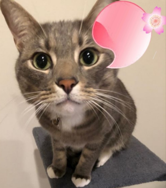 20190413114253552.jpg
