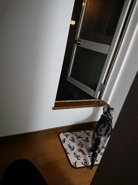 20190424205426092.jpg