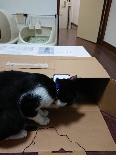 20190424214155489.jpg