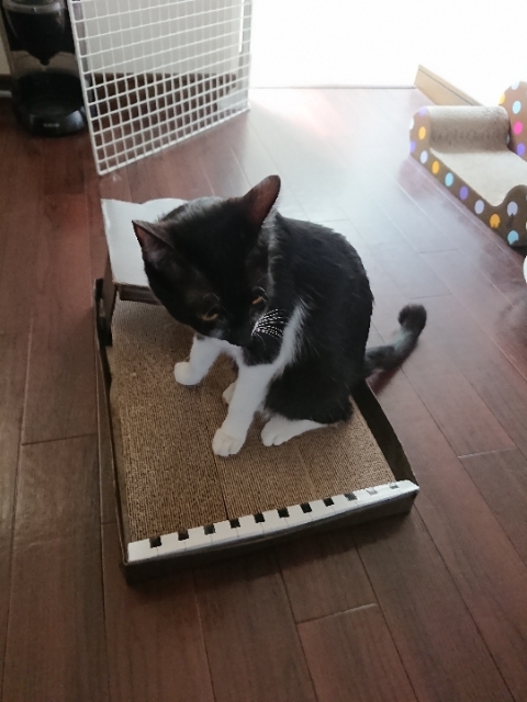 20190506135250009.jpg