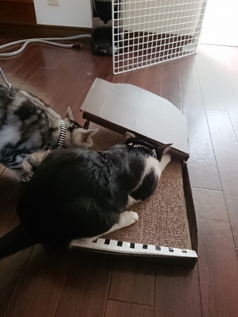 20190506135336868.jpg