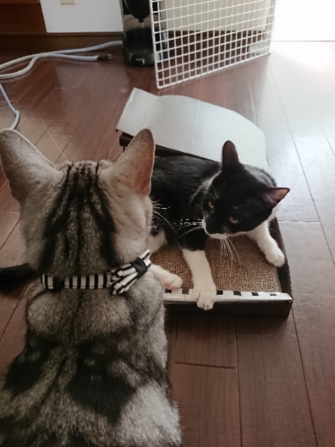 20190506135346268.jpg