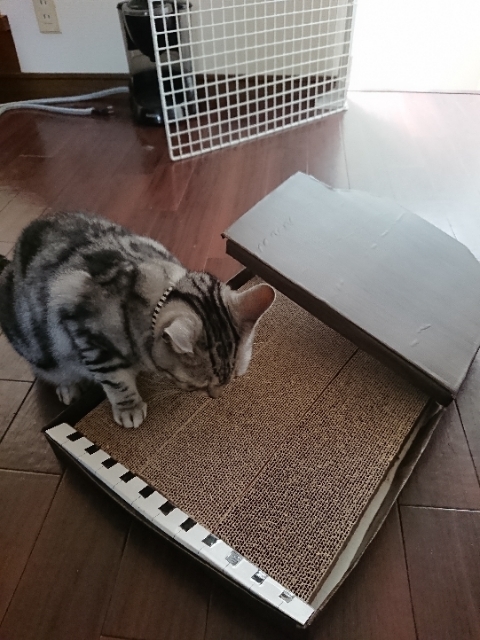 20190506135401621.jpg