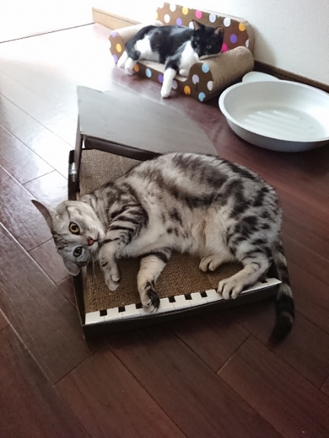 20190506135430355.jpg