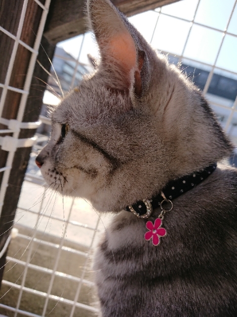 20190508071615030.jpg