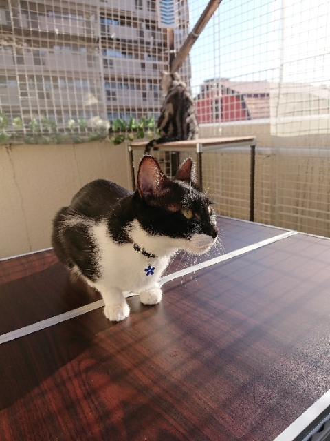 20190508071939579.jpg