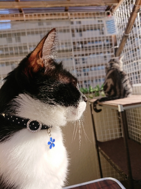 20190508072008923.jpg