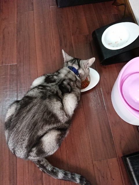 20190508073332189.jpg