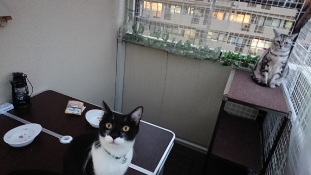 20190510185755074.jpg