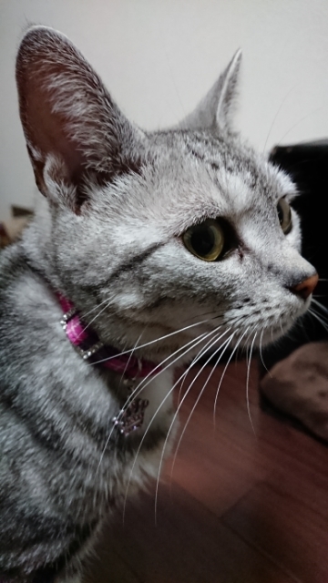 20190510193051222.jpg