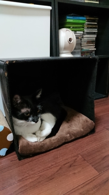 20190511202507406.jpg