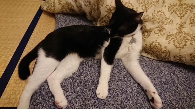 20190513200443306.jpg