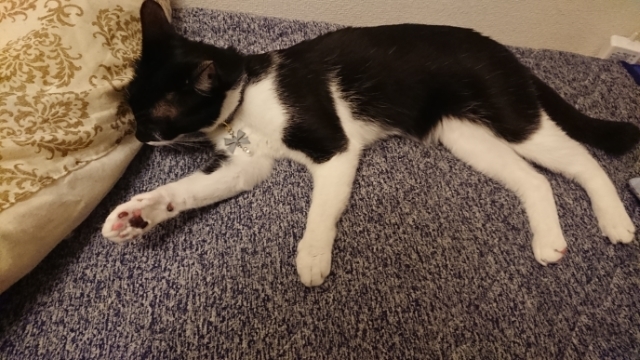 20190513202240749.jpg