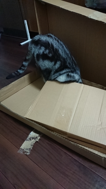 20190514050432886.jpg
