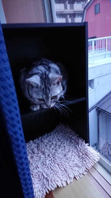 20190514052128856.jpg