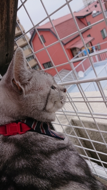 20190514081630869.jpg
