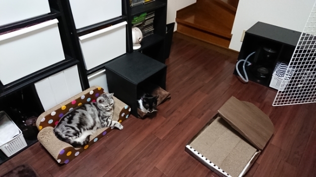 20190514194612208.jpg