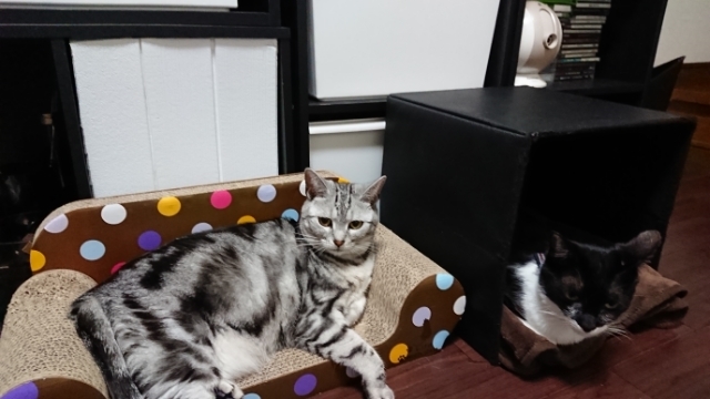 20190514194637203.jpg