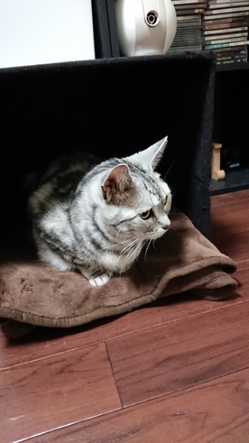 20190514204516960.jpg