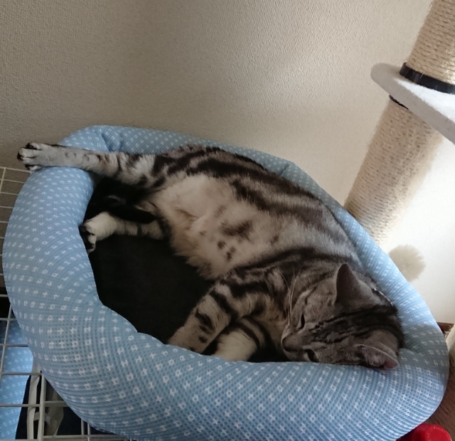 20190516111259998.jpg