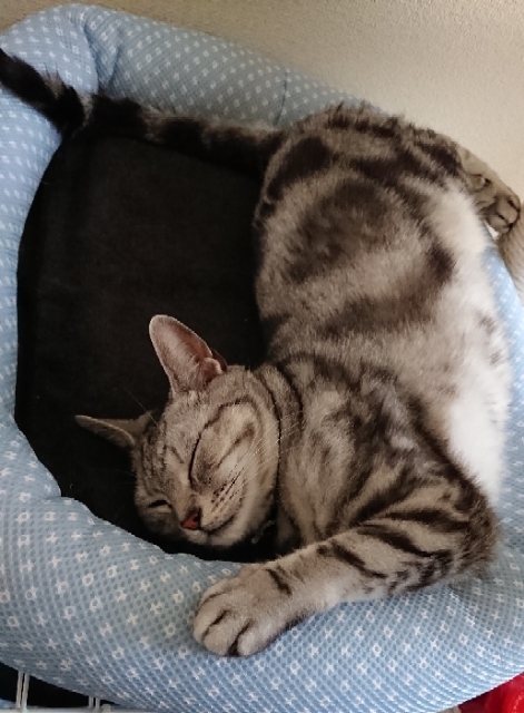 20190516111548737.jpg