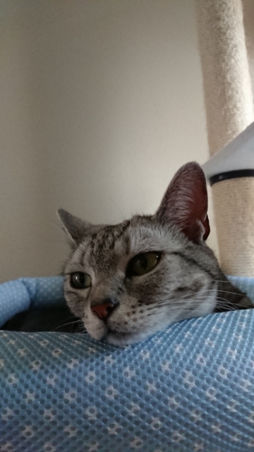 20190516115616639.jpg