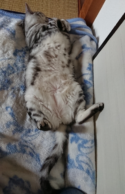 20190516145825568.jpg