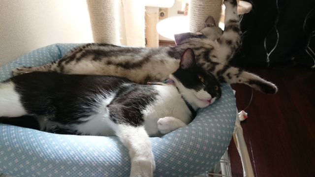 20190517082544048.jpg