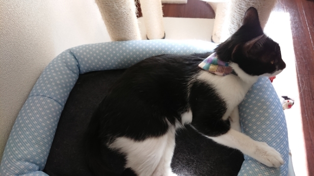 20190517082701830.jpg