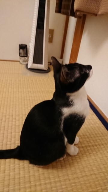20171105103001983.jpg
