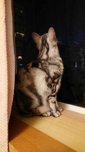 20171105103023059.jpg