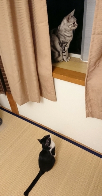 20171105103045049.jpg