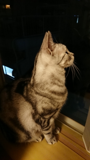 20171105103116276.jpg