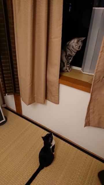 20171105103141789.jpg