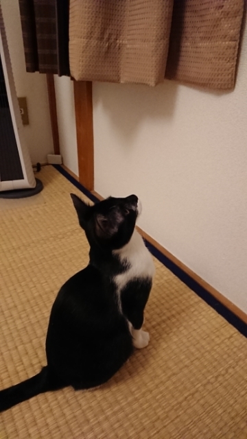 20171105103537527.jpg