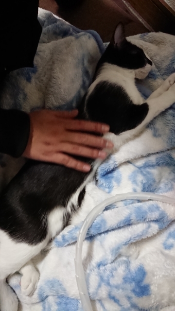 20171115072120874.jpg