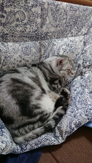 20171121155045151.jpg
