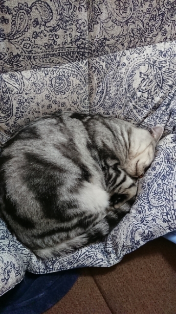 20171121155058624.jpg