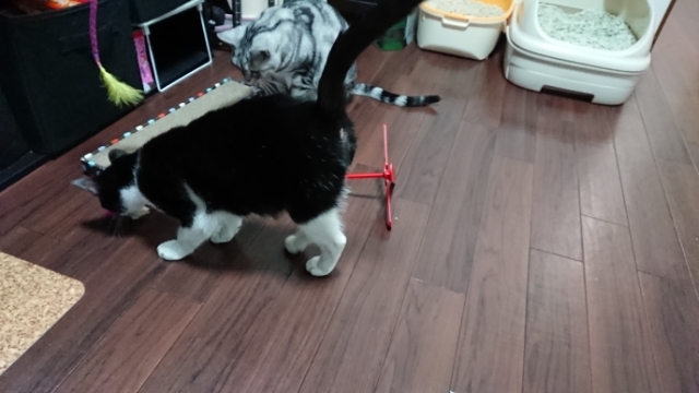 20171123180756000.jpg
