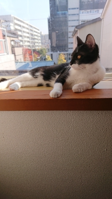 20171128101234767.jpg