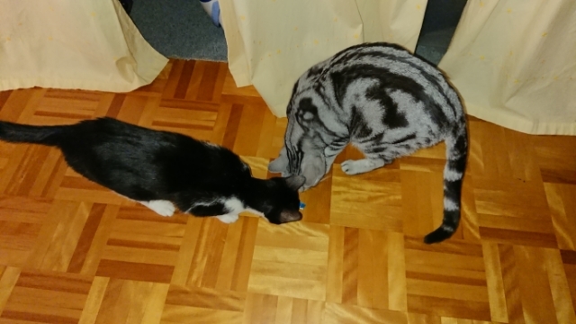 20171128163354175.jpg