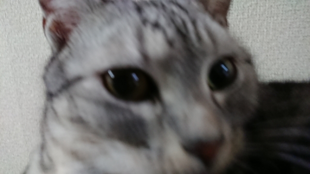 20180117092259052.jpg