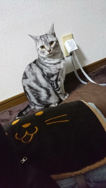 20180117100414958.jpg