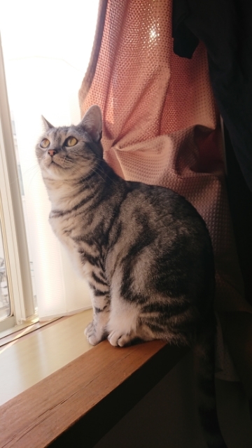 20180118073304040.jpg
