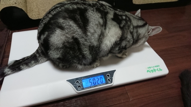 20180118214651852.jpg