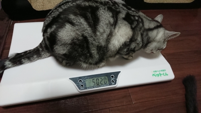 20180118214739044.jpg