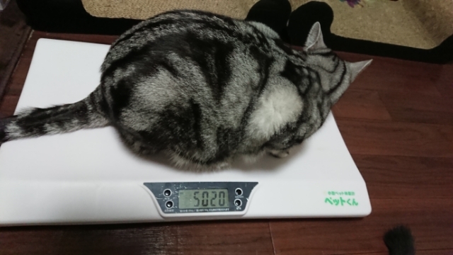 20180118214841046.jpg